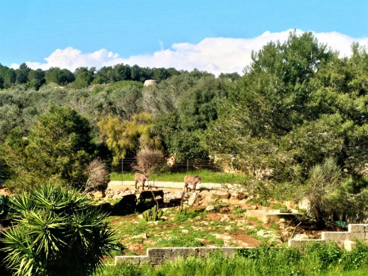 דירות פרזיצ'ה Le Colonie מראה חיצוני תמונה