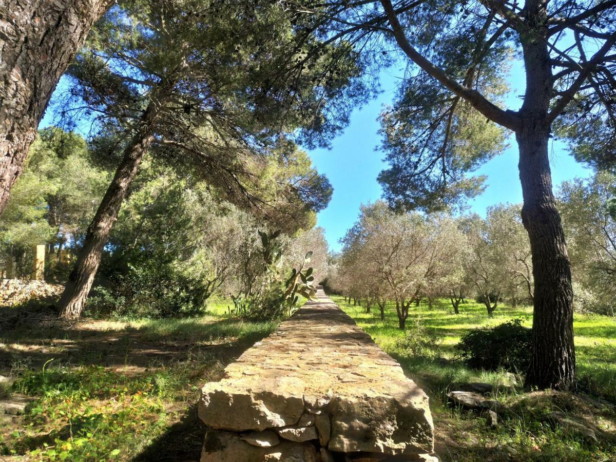 דירות פרזיצ'ה Le Colonie מראה חיצוני תמונה